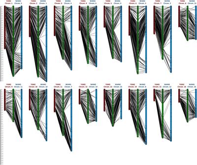 High-density linkage to physical mapping in a unique Tall × Dwarf coconut (Cocos nucifera L.) outbred F2 uncovers a major QTL for flowering time colocalized with the FLOWERING LOCUS T (FT)